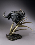 Mark Hopkins Mark Hopkins Cape Buffalo