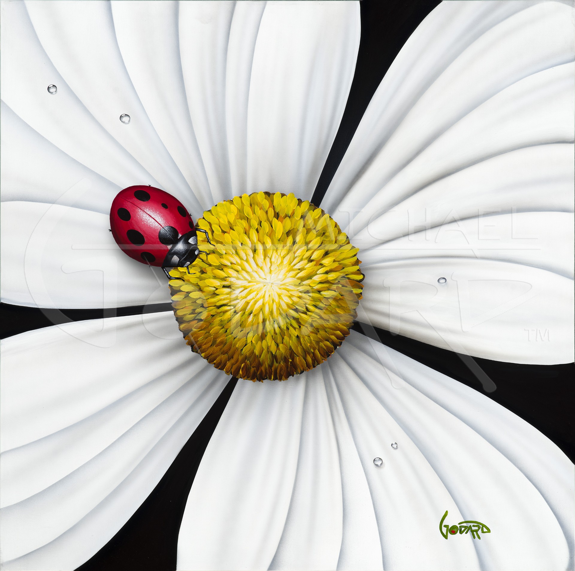 Michael Godard White Flower Ladybug (AP)